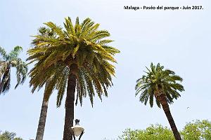 048- Malaga paseo parque